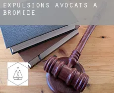 Expulsions avocats à  Bromide