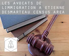 Les avocats de l'immigration à  Étienne-Desmarteau (census area)