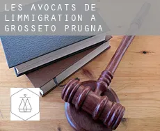 Les avocats de l'immigration à Grosseto-Prugna