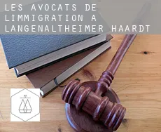 Les avocats de l'immigration à Langenaltheimer Haardt