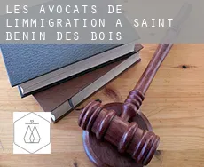 Les avocats de l'immigration à  Saint-Benin-des-Bois