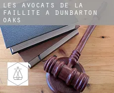 Les avocats de la faillite à  Dunbarton Oaks