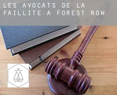 Les avocats de la faillite à  Forest Row