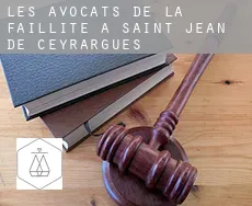 Les avocats de la faillite à Saint-Jean-de-Ceyrargues