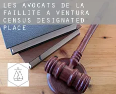 Les avocats de la faillite à Ventura