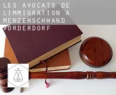 Les avocats de l'immigration à  Menzenschwand-Vorderdorf
