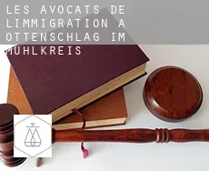 Les avocats de l'immigration à  Ottenschlag im Mühlkreis