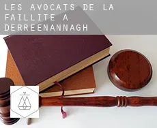 Les avocats de la faillite à  Derreenannagh