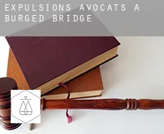 Expulsions avocats à Burged Bridge