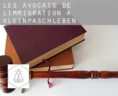 Les avocats de l'immigration à  Kleinpaschleben