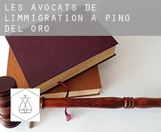 Les avocats de l'immigration à  Pino del Oro