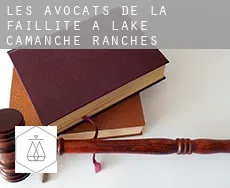 Les avocats de la faillite à Lake Camanche Ranches