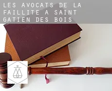 Les avocats de la faillite à Saint-Gatien-des-Bois