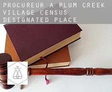Procureur à  Plum Creek Village