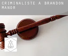 Criminaliste à  Brandon Manor