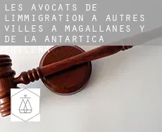 Les avocats de l'immigration à  Autres Villes à Magallanes y de la Antartica Chilena