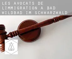 Les avocats de l'immigration à  Bad Wildbad im Schwarzwald