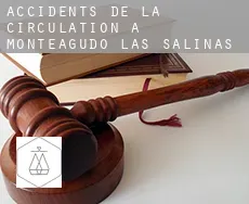 Accidents de la circulation à  Monteagudo de las Salinas