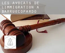 Les avocats de l'immigration à Barruecopardo
