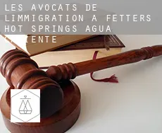 Les avocats de l'immigration à  Fetters Hot Springs-Agua Caliente