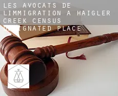 Les avocats de l'immigration à  Haigler Creek