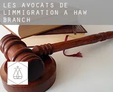 Les avocats de l'immigration à Haw Branch