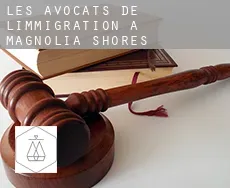 Les avocats de l'immigration à  Magnolia Shores