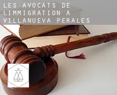Les avocats de l'immigration à  Villanueva de Perales