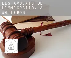Les avocats de l'immigration à  Whitebog
