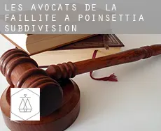 Les avocats de la faillite à Poinsettia Subdivision