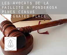 Les avocats de la faillite à  Ponderosa Pines