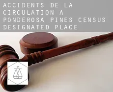 Accidents de la circulation à  Ponderosa Pines