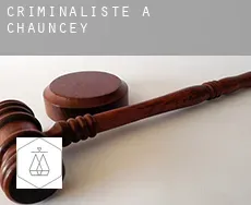 Criminaliste à  Chauncey