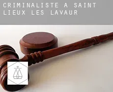 Criminaliste à  Saint-Lieux-lès-Lavaur