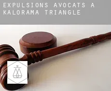 Expulsions avocats à Kalorama Triangle