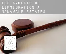 Les avocats de l'immigration à  Nanawale Estates