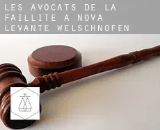 Les avocats de la faillite à  Nova Levante
