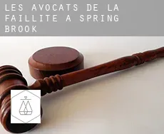Les avocats de la faillite à Spring Brook