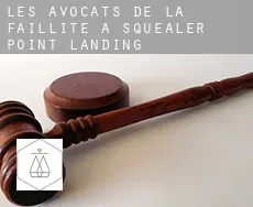 Les avocats de la faillite à  Squealer Point Landing