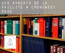 Les avocats de la faillite à  Crowsnest Pass