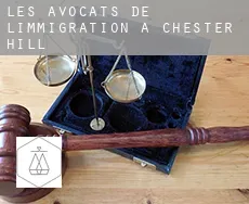 Les avocats de l'immigration à Chester Hill