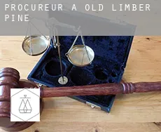 Procureur à Old Limber Pine