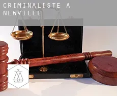 Criminaliste à Newville