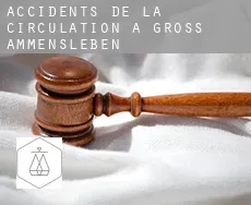 Accidents de la circulation à  Groß Ammensleben