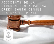 Accidents de la circulation à  Paloma Creek South