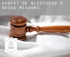 Avocat de blessures à Broad Meadows
