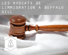Les avocats de l'immigration à  Buffalo Hill
