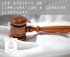Les avocats de l'immigration à  Corbera de Llobregat