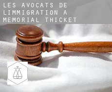 Les avocats de l'immigration à Memorial Thicket