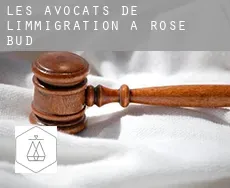 Les avocats de l'immigration à  Rose Bud